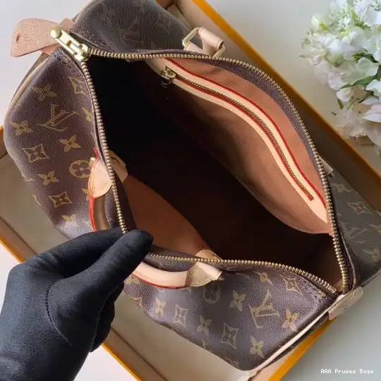 AAA Pruses Bags Louis Vuitton SPEEDY 30 0629